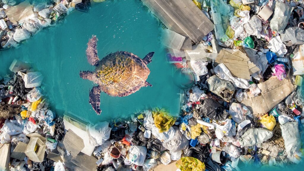 foto plasticos