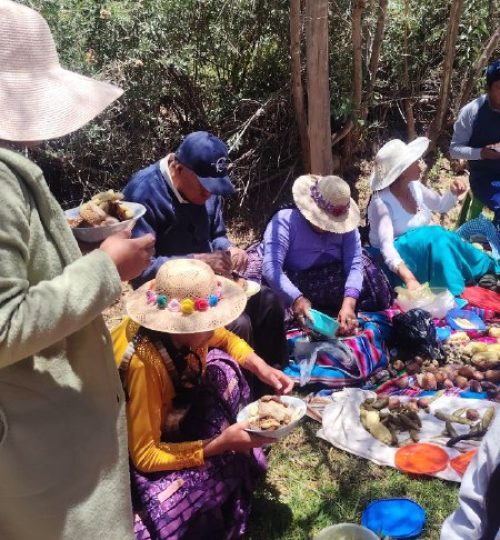 0a0ec78f-ad95-470f-9991-097f22f857a1